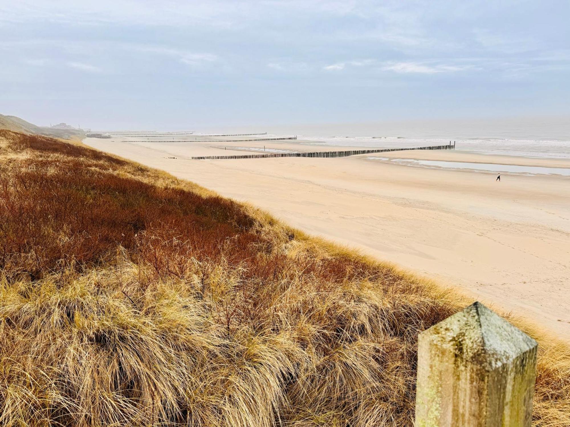 Beach & Forest Retreat -Domburg- Oostkapelle Exterior photo